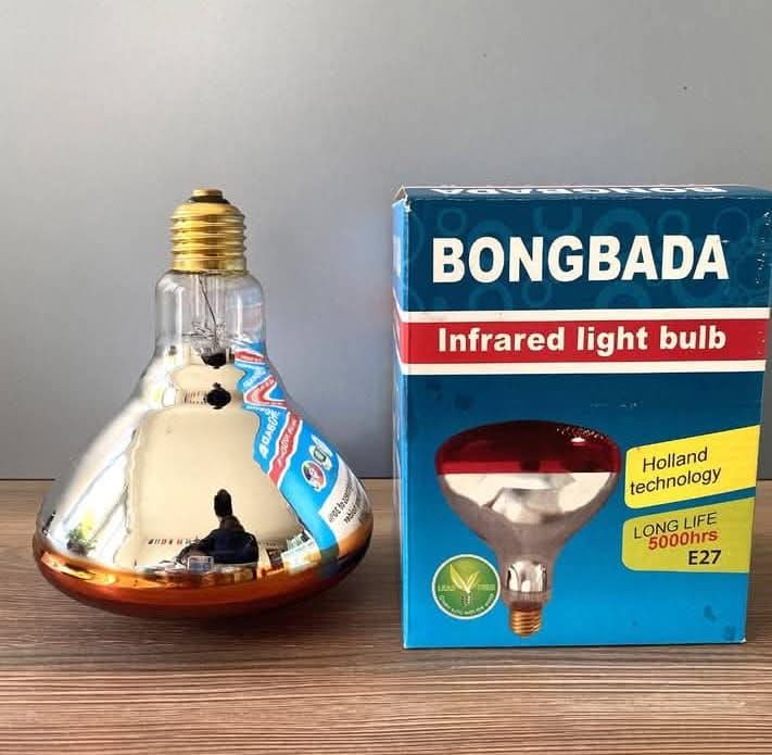 ইনফারেড বাল্ব